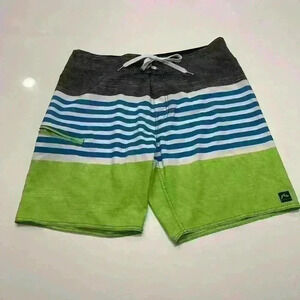 Men’s Rusty Board Swim Shorts